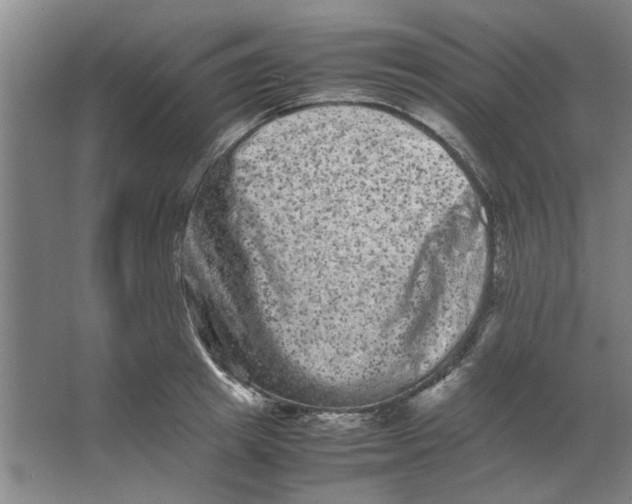 X0000063440849200602101620