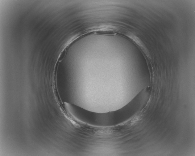 X0000063440850200602101620