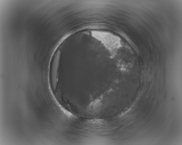X0000063440853200602101620