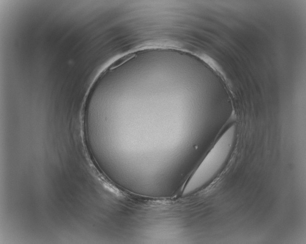 X0000063440854200602101620