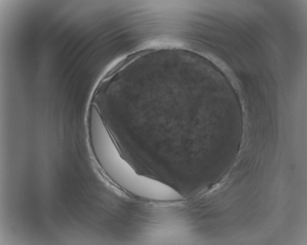 X0000063440864200602101620