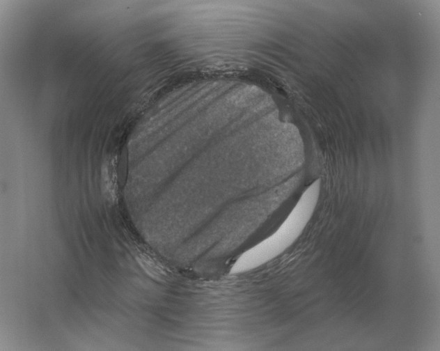 X0000063440868200602101620