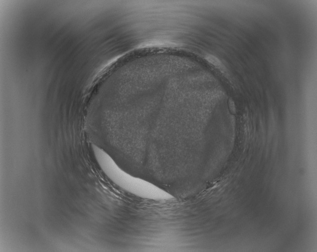 X0000063440872200602101619