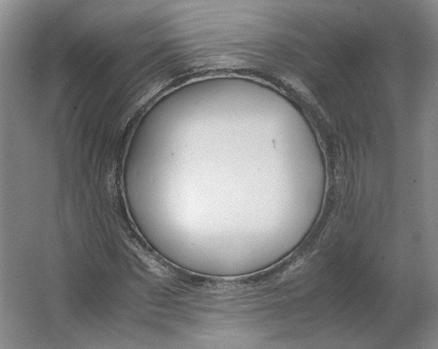 X0000063440873200602101619