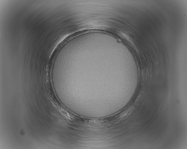X0000063440875200602101619