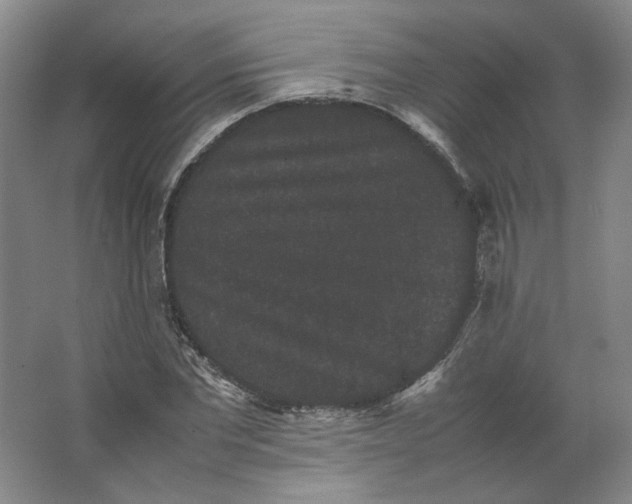 X0000063440877200602101619