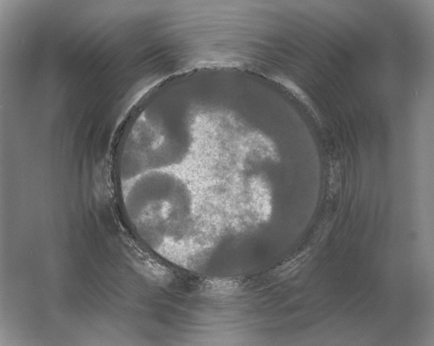 X0000063440878200602101619