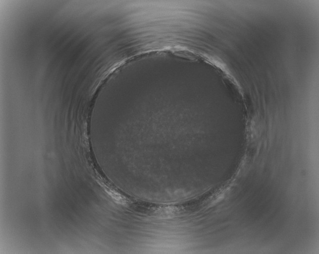 X0000063440881200602101619
