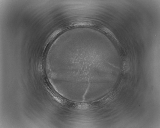 X0000063440882200602101619