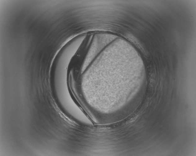 X0000063440884200602101619