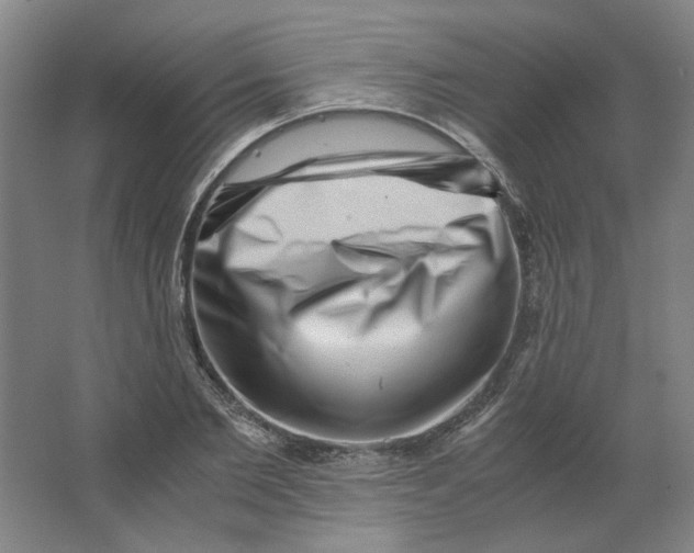 X0000063440885200602101619