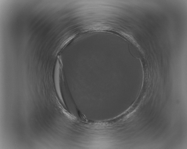 X0000063440889200602101619