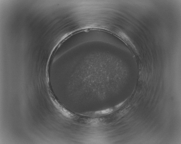 X0000063440892200602101619