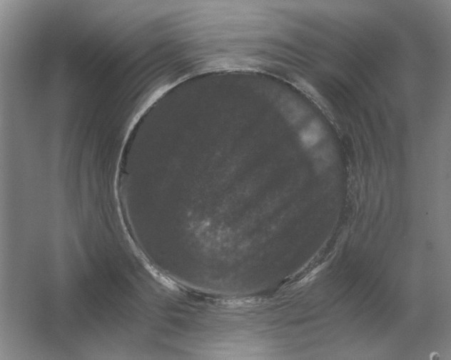 X0000063440893200602101619