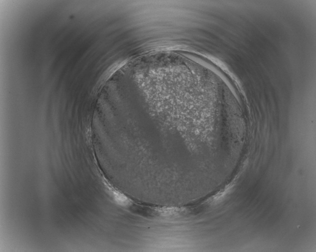 X0000063440897200602101619