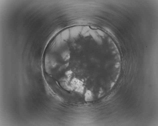 X0000063440899200602101619