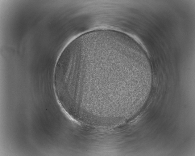 X0000063440903200602101619