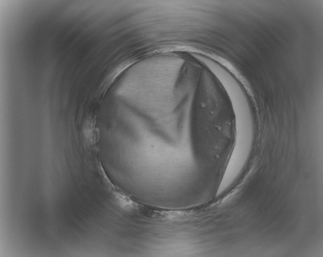 X0000063440905200602101619