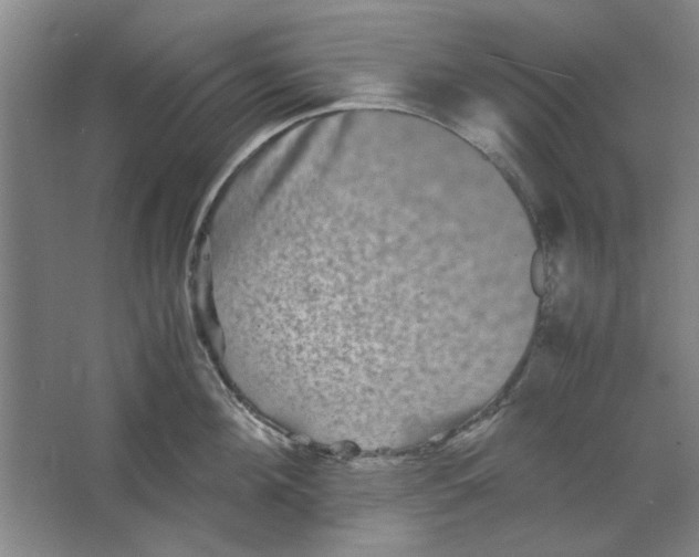 X0000063440908200602101619