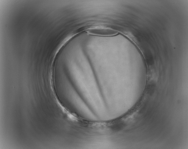 X0000063440909200602101619