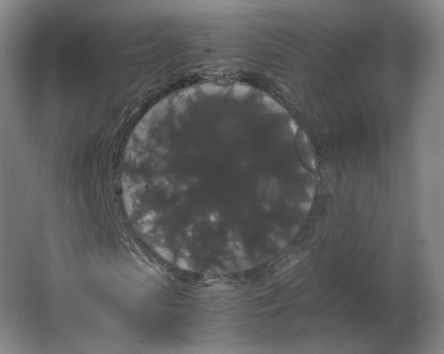 X0000063440913200602101618