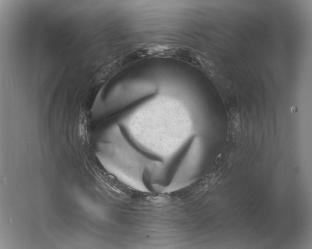 X0000063440914200602101618