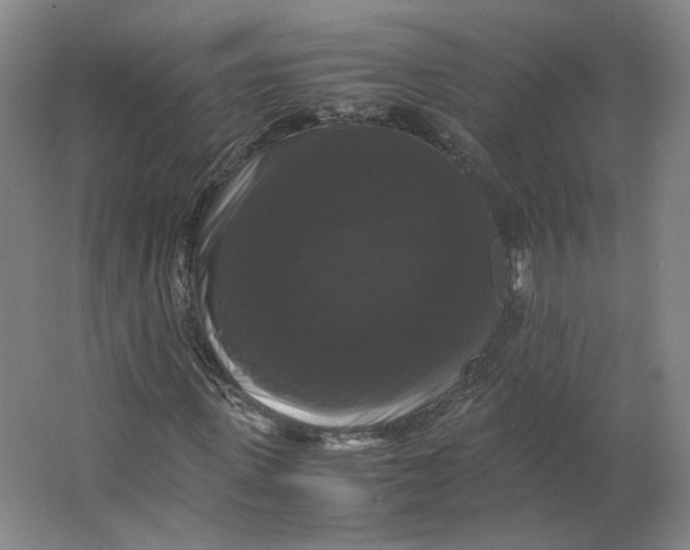 X0000063440915200602101618