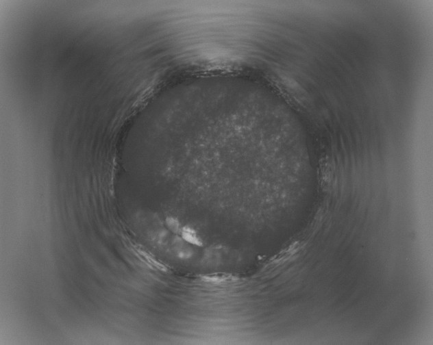 X0000063440916200602101618