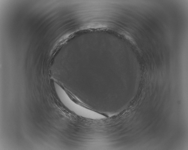 X0000063440920200602101618