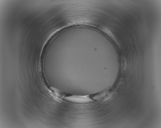 X0000063440924200602101618