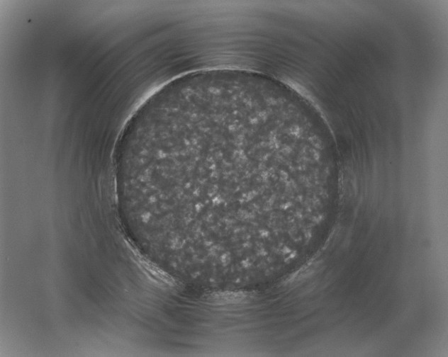 X0000063440925200602101618