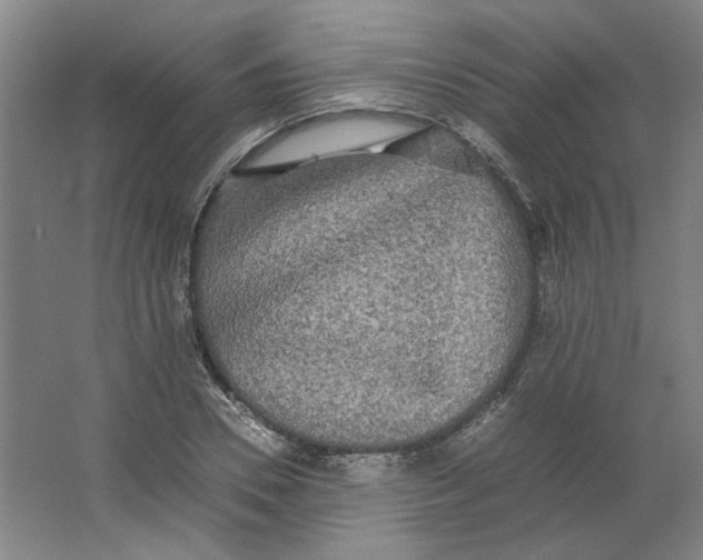 X0000063440930200602101618