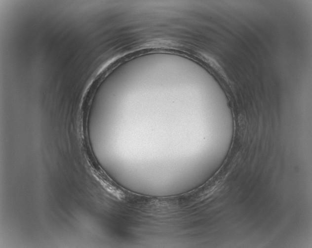 X0000063440931200602101618