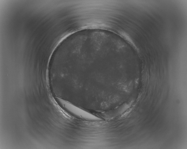 X0000063440932200602101618