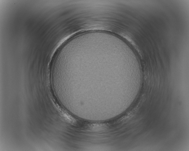 X0000063440933200602101618