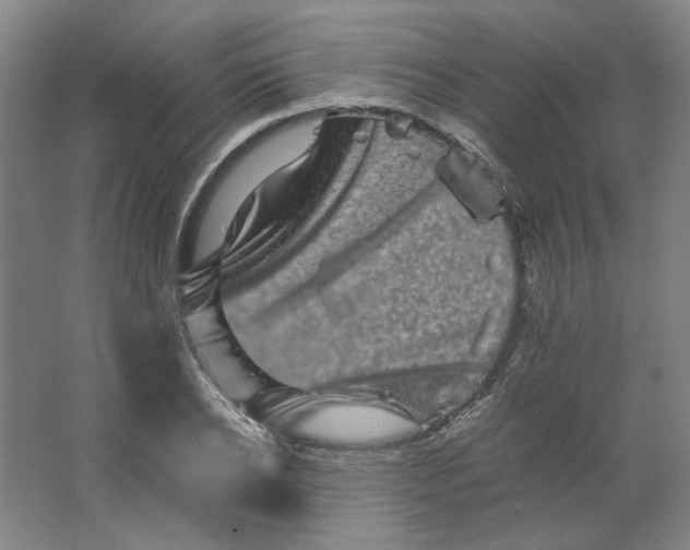 X0000063440934200602101618