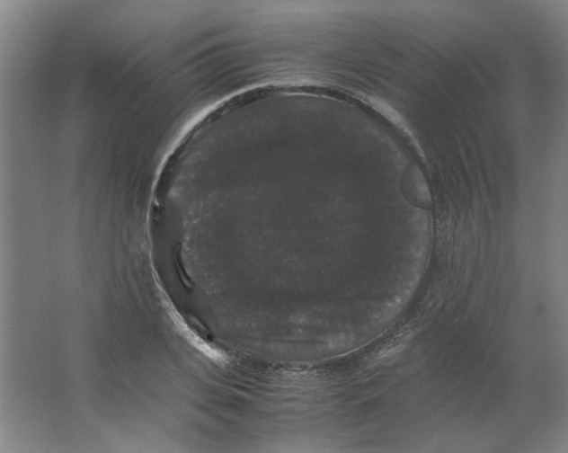 X0000063440935200602101618