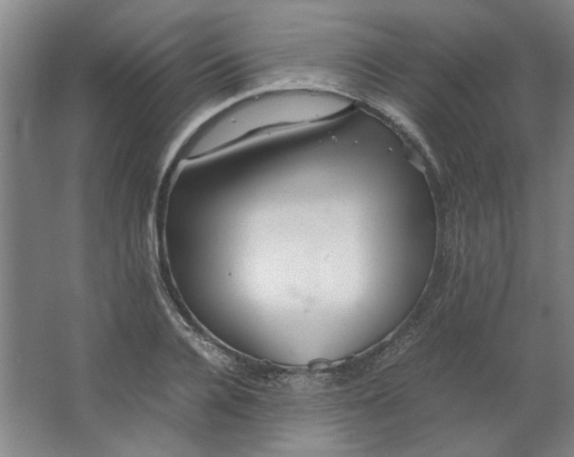 X0000063440936200602101618
