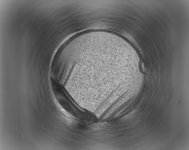 X0000063440939200602101618