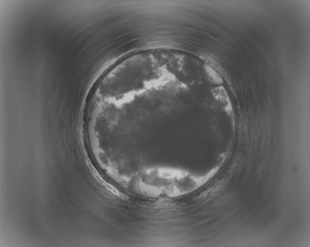 X0000063440941200602101618