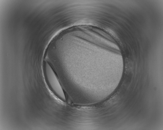 X0000063440942200602101619