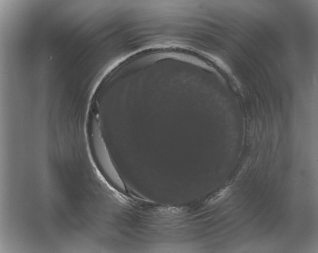 X0000063440943200602101619