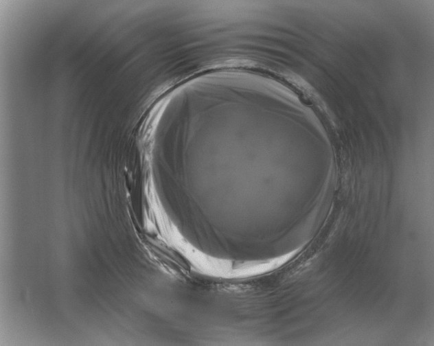 X0000063440945200602101619