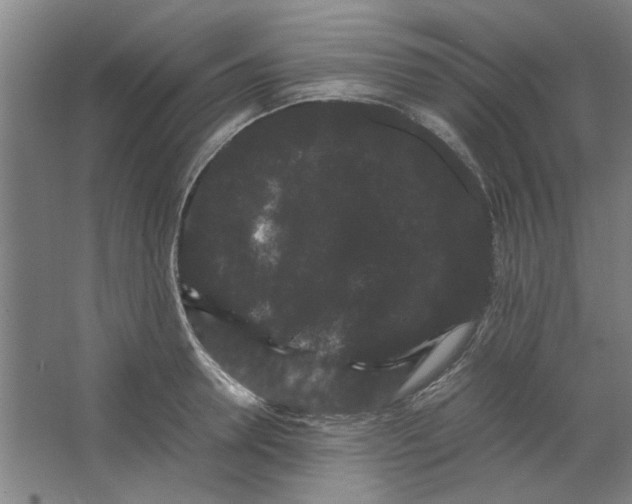 X0000063440946200602101619