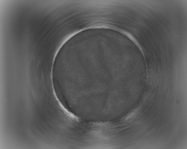 X0000063440951200602101619