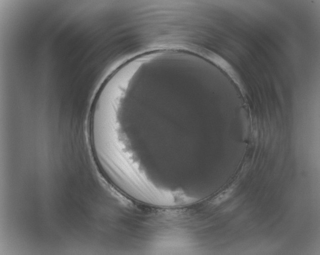 X0000063440958200602101619