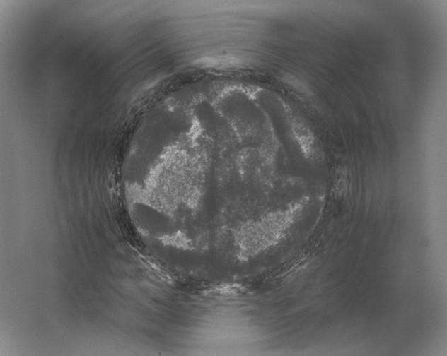 X0000063440966200602101618