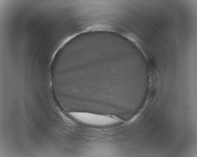 X0000063440973200602101618