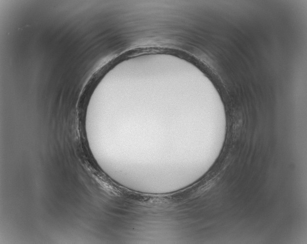 X0000063440974200602101618