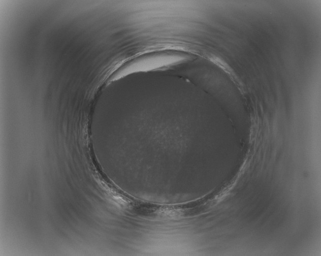 X0000063440977200602101618